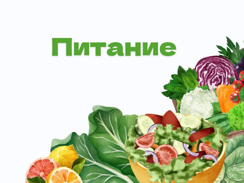 Здоровое питание.